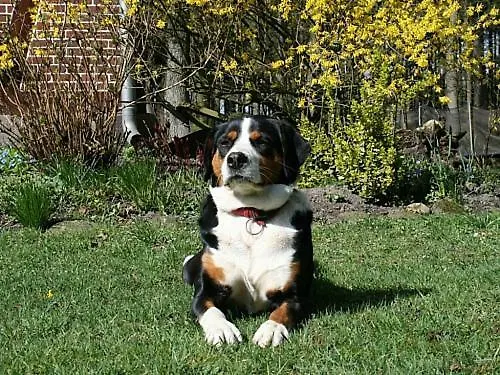 Wroge Casa vacanze Wietzendorf